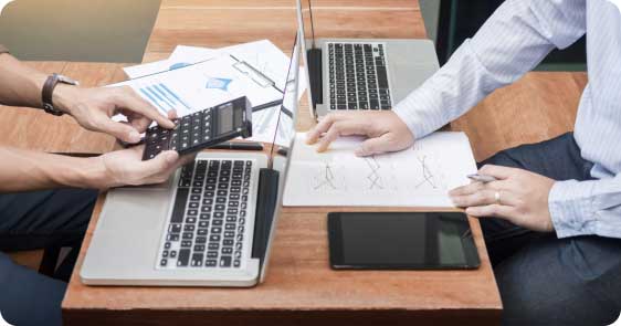 Financial Inspector